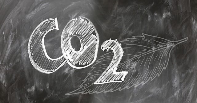 O Mercado de Carbono Desafios e Oportunidades para Salvar o Mundo