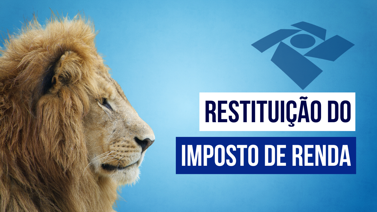 Restituição do Imposto de Renda Guia Prático para o Microempreendedor Brasileiro
